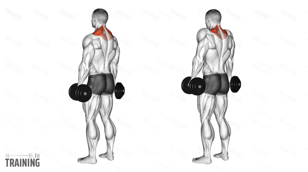 Improve Posture Exercises: 10 Simple Ways to Fix Posture Fast: Sickpage